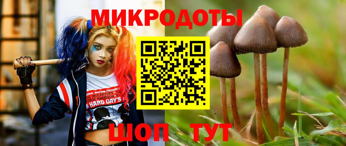 Псилоцибиновые грибы MAGIC MUSHROOMS  Вход с VPN  Алексеевка 