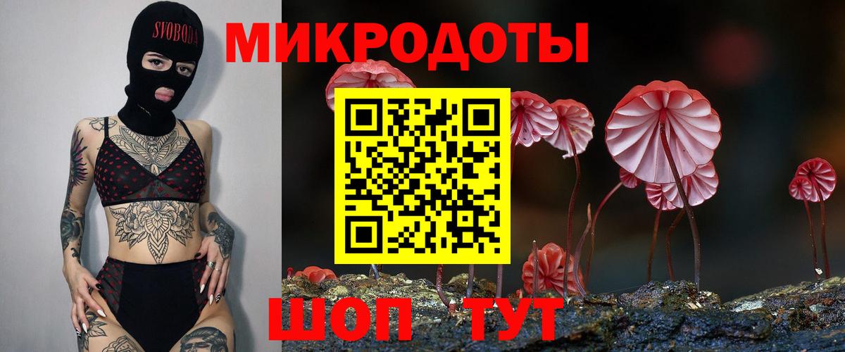 Галлюциногенные грибы Psilocybe Алексеевка